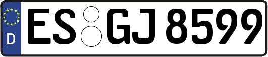 ES-GJ8599
