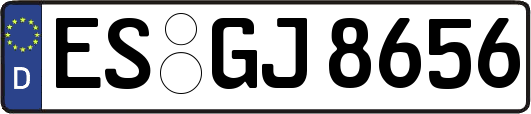 ES-GJ8656