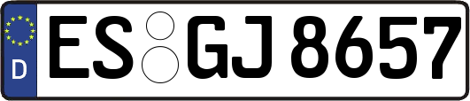 ES-GJ8657