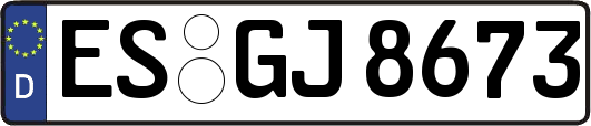 ES-GJ8673