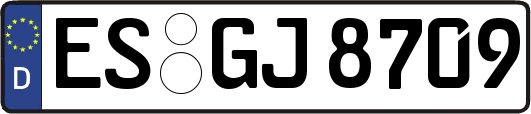 ES-GJ8709