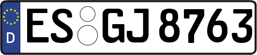 ES-GJ8763