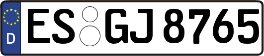 ES-GJ8765