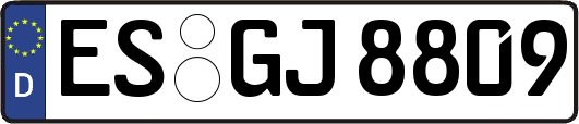 ES-GJ8809