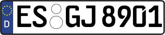 ES-GJ8901