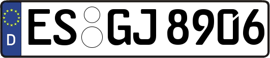 ES-GJ8906