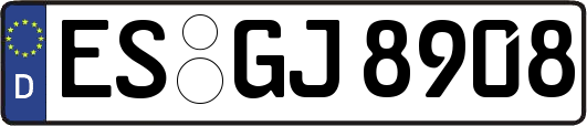 ES-GJ8908
