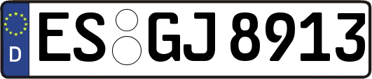 ES-GJ8913