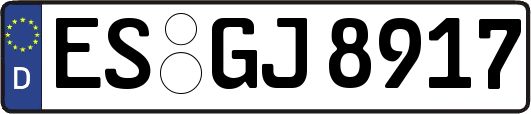 ES-GJ8917