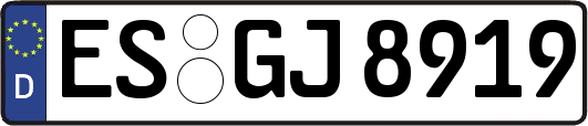 ES-GJ8919