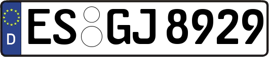ES-GJ8929