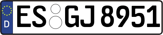 ES-GJ8951