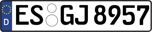 ES-GJ8957