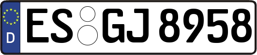 ES-GJ8958