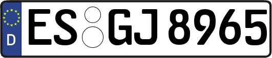 ES-GJ8965