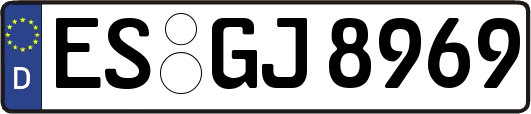 ES-GJ8969