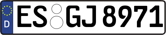 ES-GJ8971