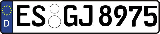 ES-GJ8975