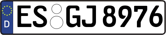 ES-GJ8976