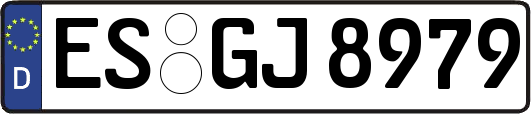 ES-GJ8979