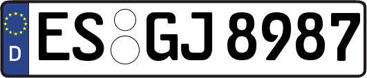 ES-GJ8987