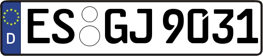 ES-GJ9031