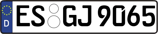 ES-GJ9065