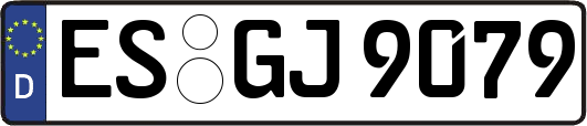 ES-GJ9079
