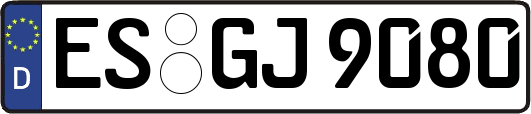 ES-GJ9080