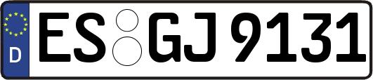 ES-GJ9131