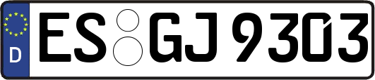 ES-GJ9303