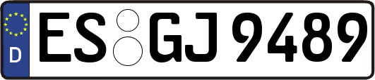 ES-GJ9489