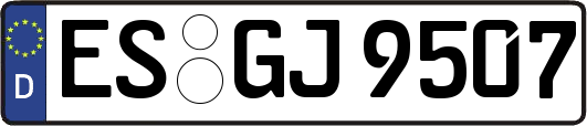ES-GJ9507