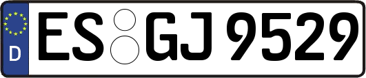 ES-GJ9529