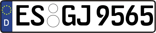 ES-GJ9565