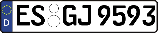 ES-GJ9593