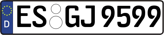 ES-GJ9599