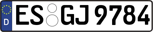 ES-GJ9784
