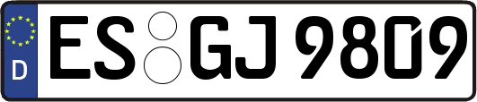 ES-GJ9809