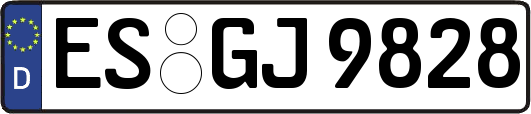 ES-GJ9828