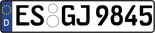 ES-GJ9845