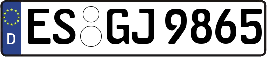 ES-GJ9865