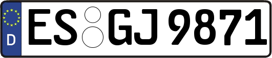 ES-GJ9871