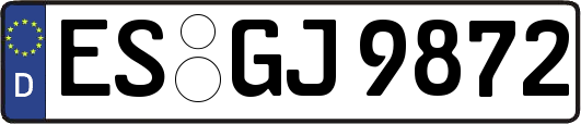 ES-GJ9872