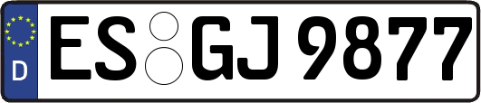 ES-GJ9877
