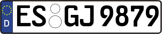 ES-GJ9879