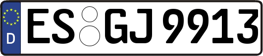 ES-GJ9913