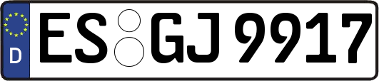 ES-GJ9917