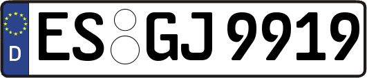 ES-GJ9919
