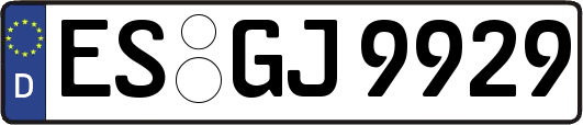 ES-GJ9929